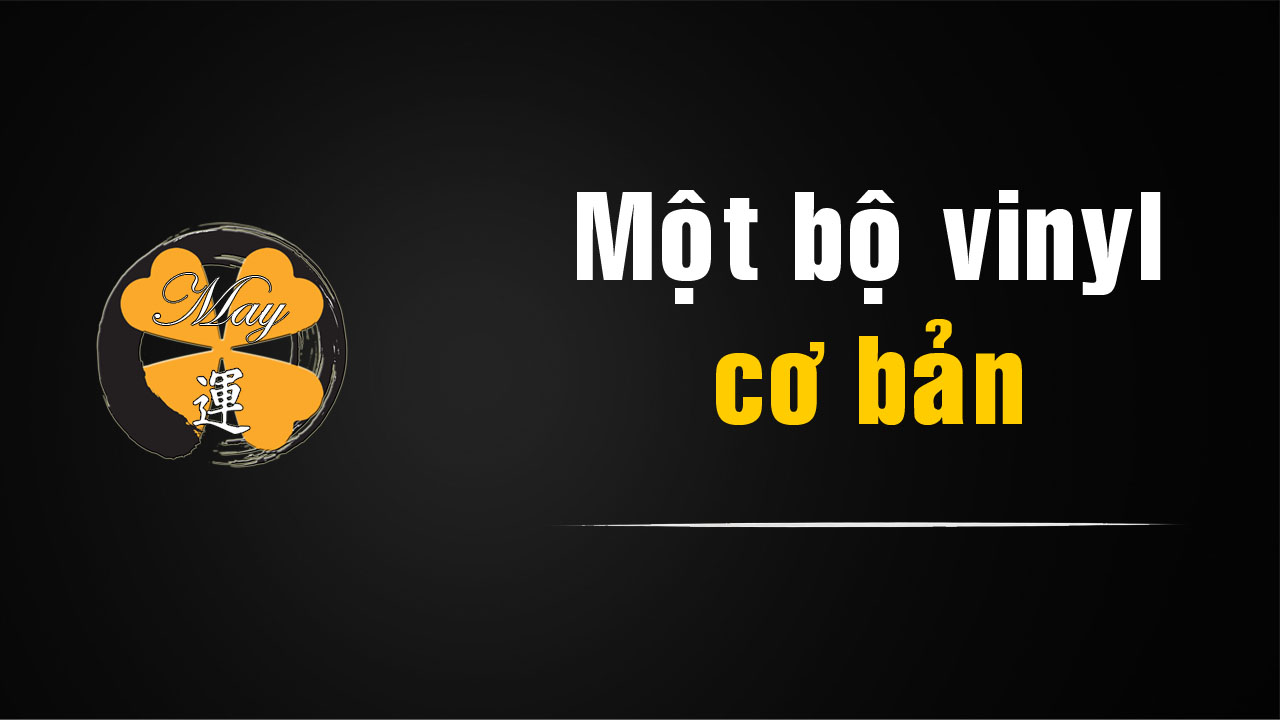 Một Bộ Nghe Vinyl Cơ Bản Gồm Những Gì? Hướng Dẫn Cho Người Mới Chơi Đĩa Than