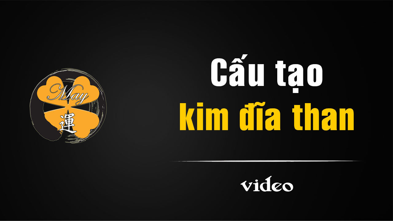 [video]Thành phần cấu tạo kim đĩa than