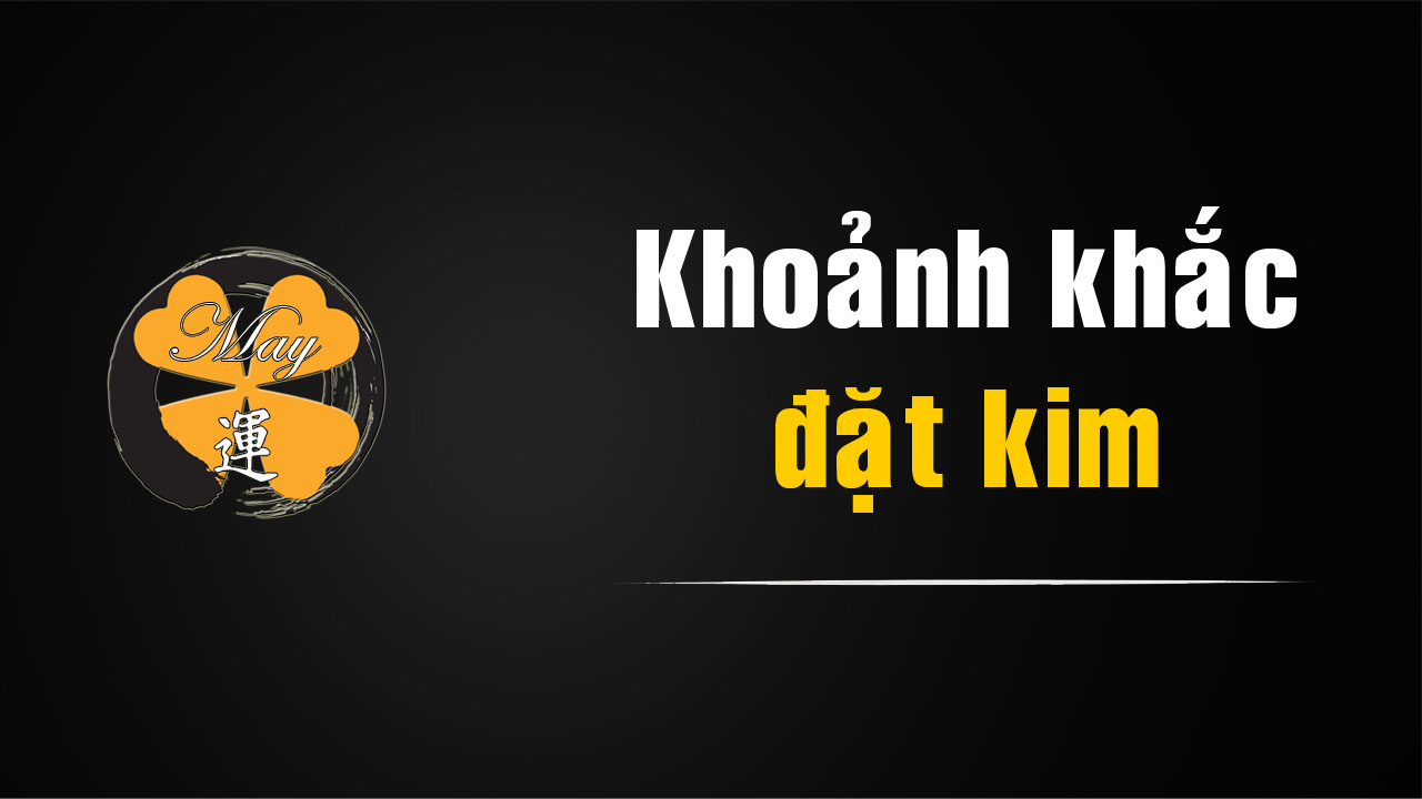 Khoảnh khắc đặt kim xuống rãnh đĩa – Nghi thức mở đầu của người chơi vinyl