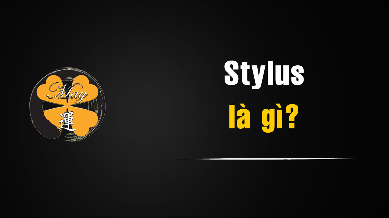 Kỹ thuật về kim đĩa than: Stylus