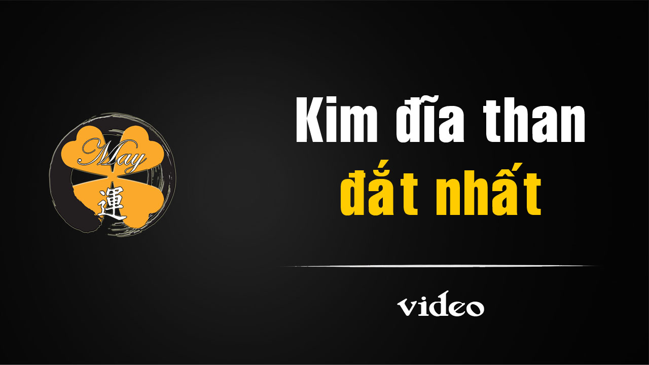 [video]Cây kim đắt nhất thế giới