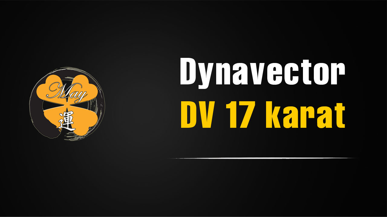 Hình ảnh phóng đại 80 lần từ kim Dynavector DV 17 Karat