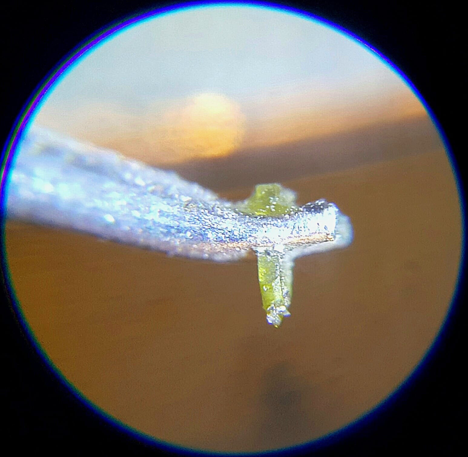 Nude diamond