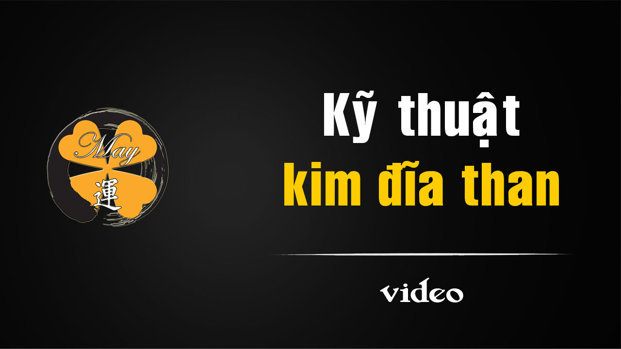 [video]Kỹ thuật chuyên sâu về kim đĩa than