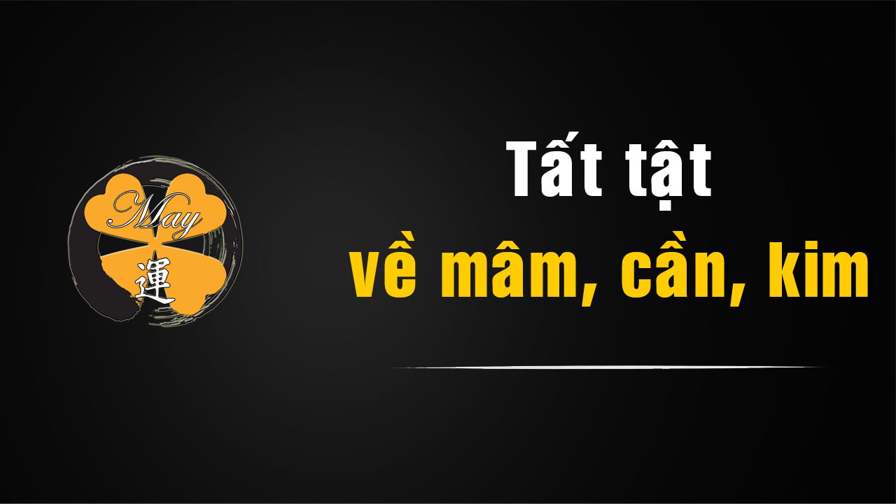 Tất tần tật về mâm đĩa than & tay cần