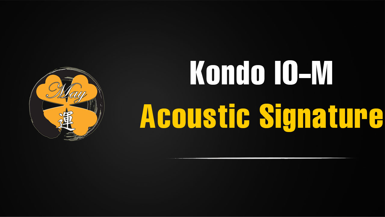 Trải nghiệm thực tế hệ analog reference: Kondo IO-M trên mâm Acoustic Signature Invictus