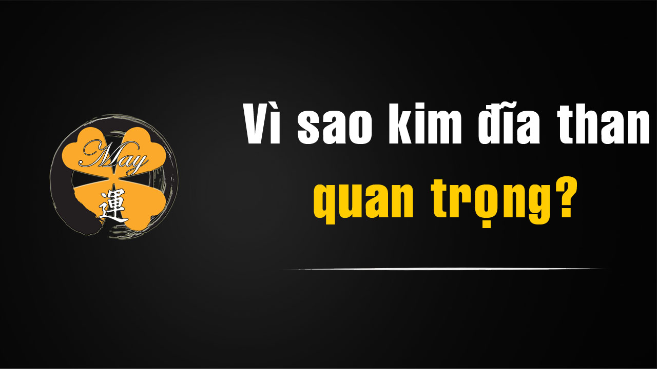 Vì Sao Kim Đĩa Than Quan Trọng? Bộ Phận Nhỏ Nhưng Quyết Định Âm Thanh
